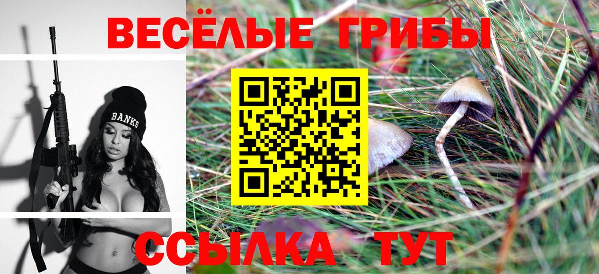 Галлюциногенные грибы Psilocybe Ярцево