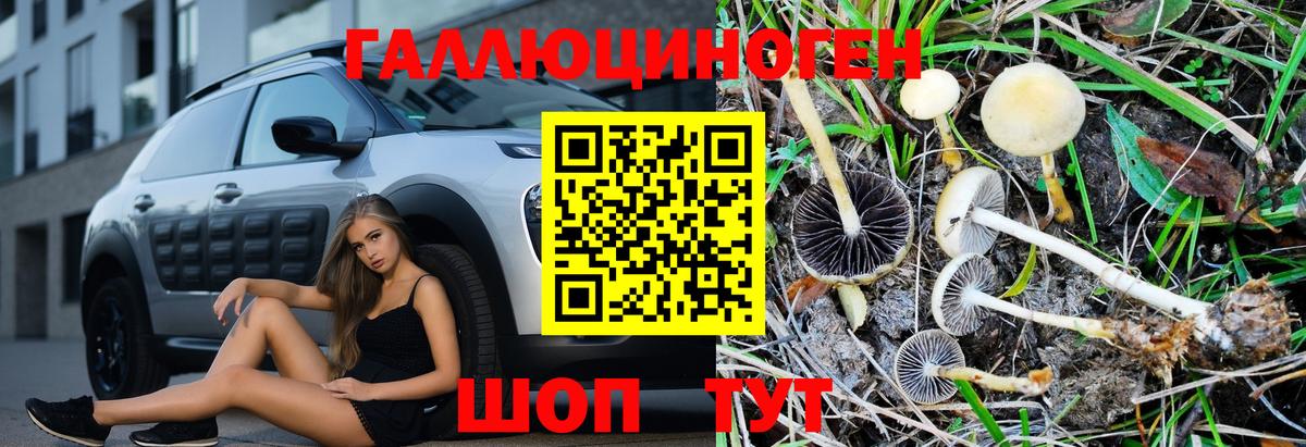Ярцево  Галлюциногенные грибы Psilocybine cubensis  Вход с VPN 